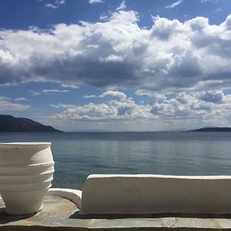 Villa Lula Nea Styra Exteriér fotografie