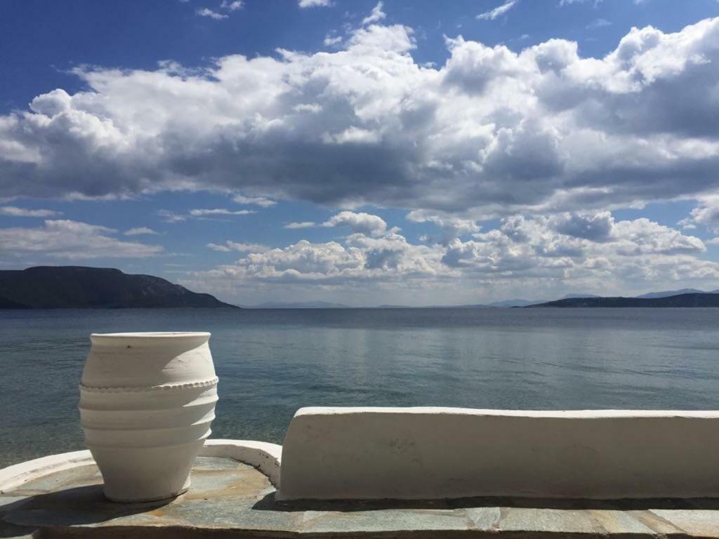 Villa Lula Nea Styra Exteriér fotografie