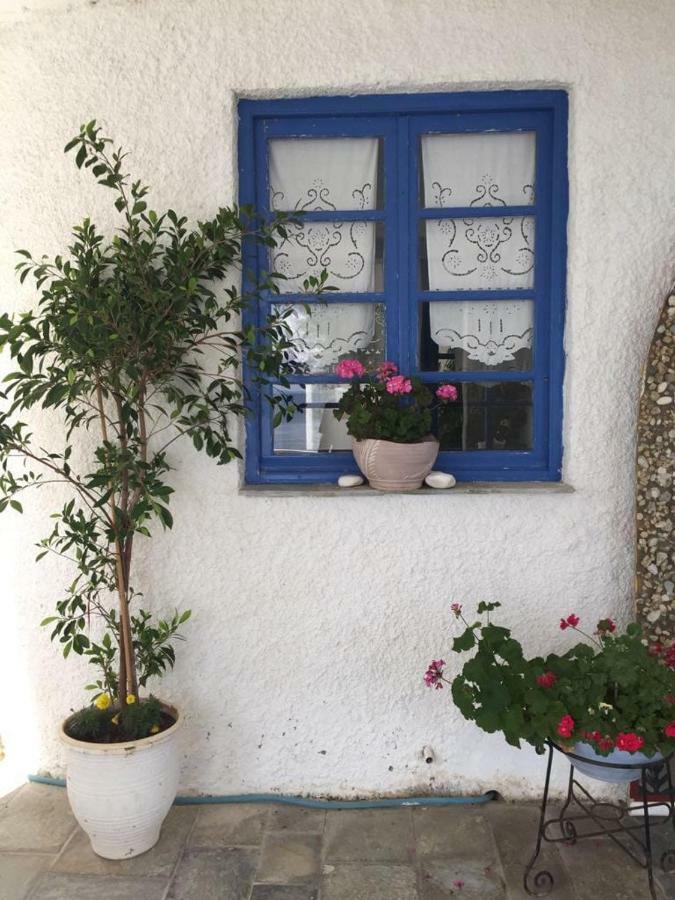 Villa Lula Nea Styra Exteriér fotografie